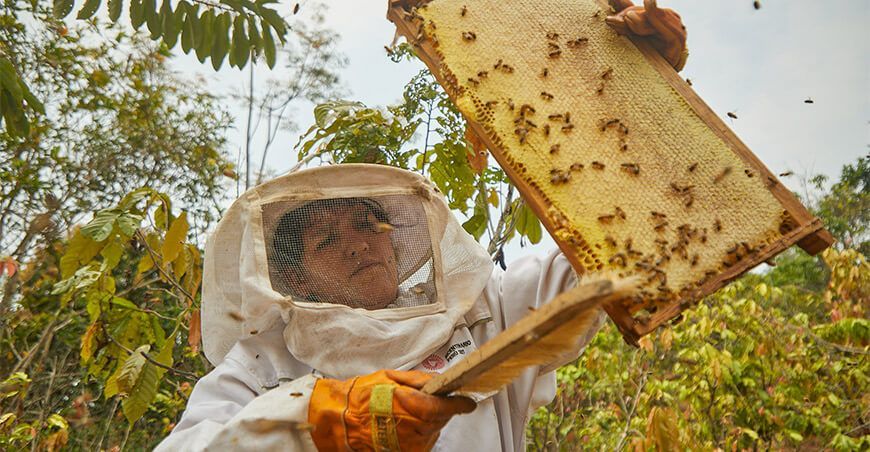 producción apícola apicultura productores miel Vraem Devida Perú