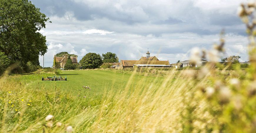 Sembrando un futuro más verde y sostenible agricultura BASF Peruana
