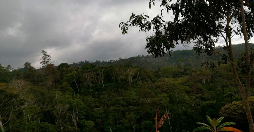 Bosque Nublado Miraflores Oxapampa Pasco Perú
