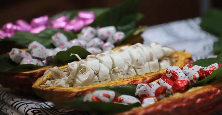 cacao y chocolate peruano 