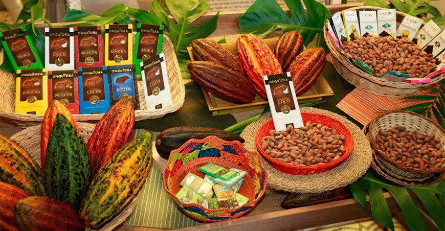 cacao y chocolate peruano 