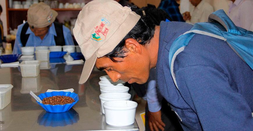 Caficultores de Cusco realizaron pasantía para potenciar sus conocimientos y técnicas Devida Perú