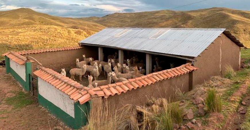 cobertizos alpacas Agro Rural Perú