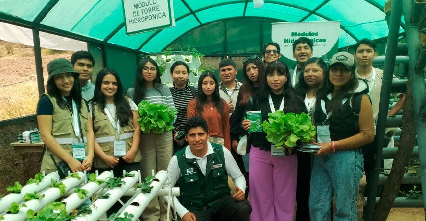 Universitarios se capacitaron en conservación de plantas aromáticas y medicinales andinas Coneia INIA Apurímac Perú