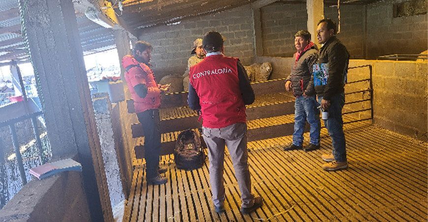 Contraloría identifica deficiencias en el proyecto de apoyo a ganaderos de ovinos en Ayaviri Puno Perú