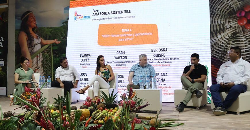 Argentina compartió su iniciativa REDD+ ECO2 para reducir la deforestación y degradación forestal