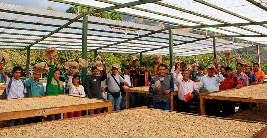 Caficultores de Cusco realizaron pasantía para potenciar sus conocimientos y técnicas Devida Perú