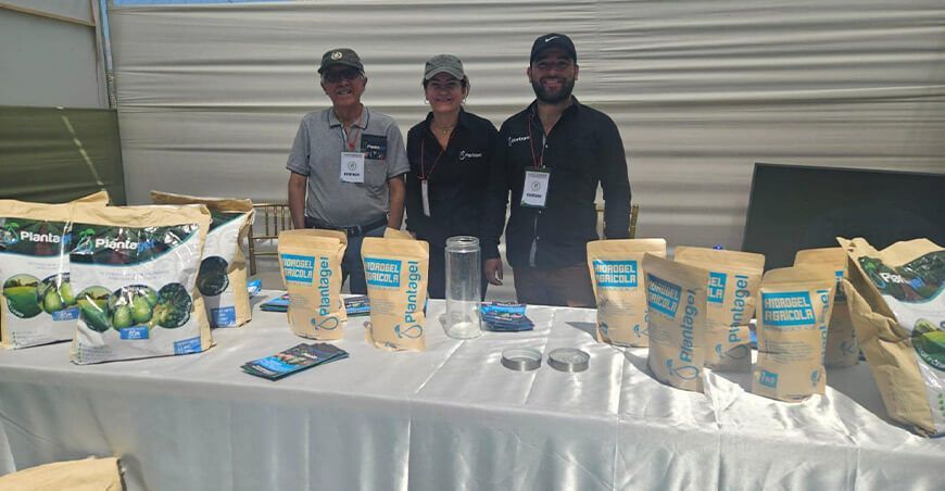 Plantagel: Hidrogel agrícola que combate la sequía y optimiza el uso del agua en cultivos
