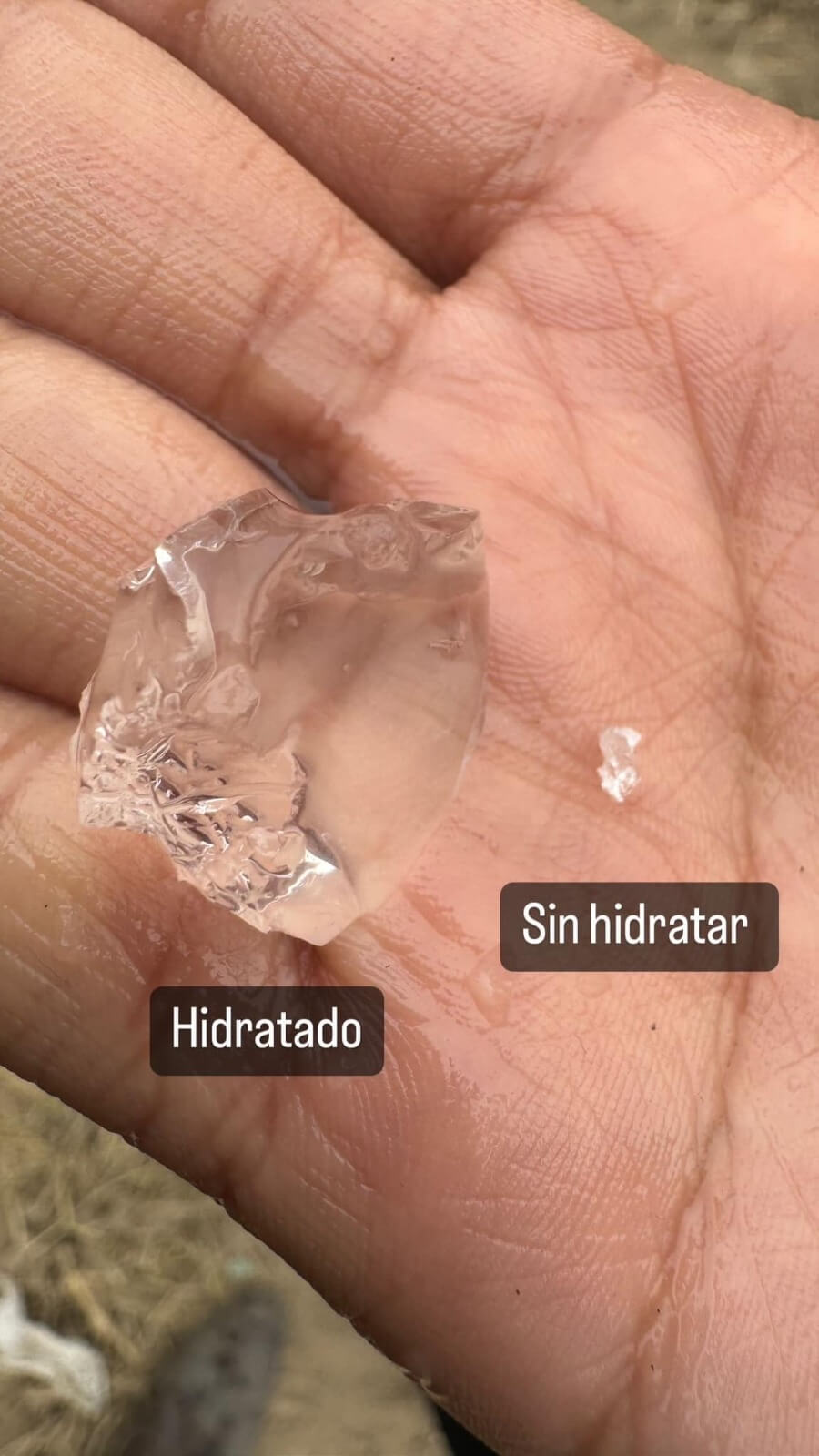 Plantagel: Hidrogel agrícola que combate la sequía y optimiza el uso del agua en cultivos