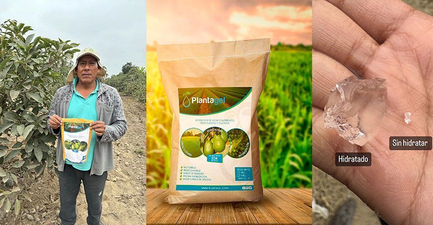 Plantagel Hidrogel agrícola que combate la sequía y optimiza el uso del agua en cultivos