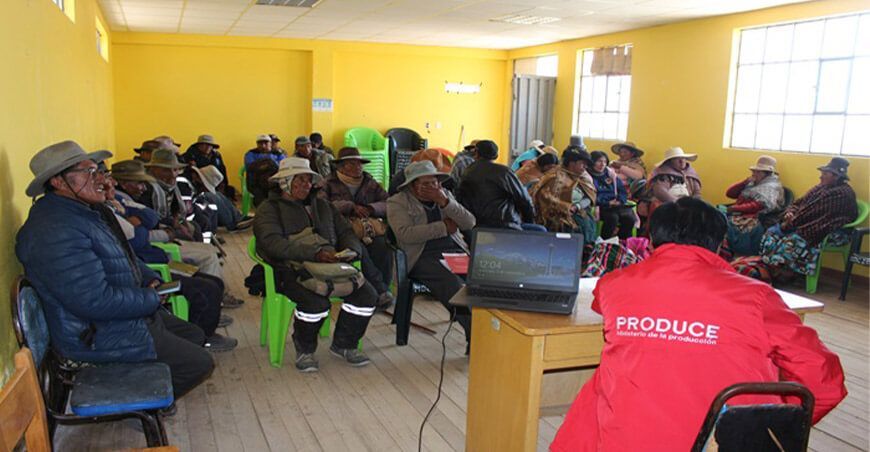 Impulsan creación de marca colectiva de alpaqueros del distrito de Cojata Puno ITP Indecopi Perú
