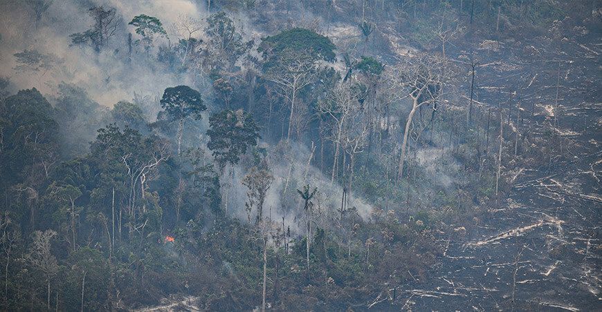 Incendios forestales arrasan bosques Ucayali Perú