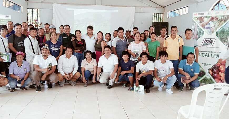 INIA transfiere tecnologías para mejorar la calidad del ganado vacuno y los suelos agrarios Ucayali Perú
