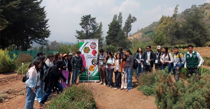 Universitarios se capacitaron en conservación de plantas aromáticas y medicinales andinas Coneia INIA Apurímac Perú
