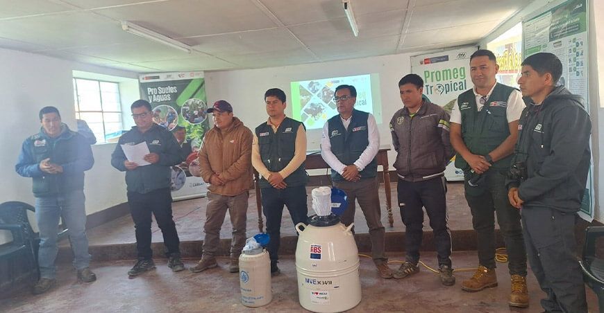 INIA transfiere pajillas de semen de ganado vacuno de alta calidad a municipalidades distritales de Amazonas