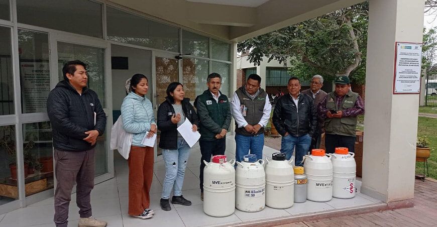 INIA transfiere 2500 pajillas de semen de vacuno de alta calidad a ganaderos de Lima