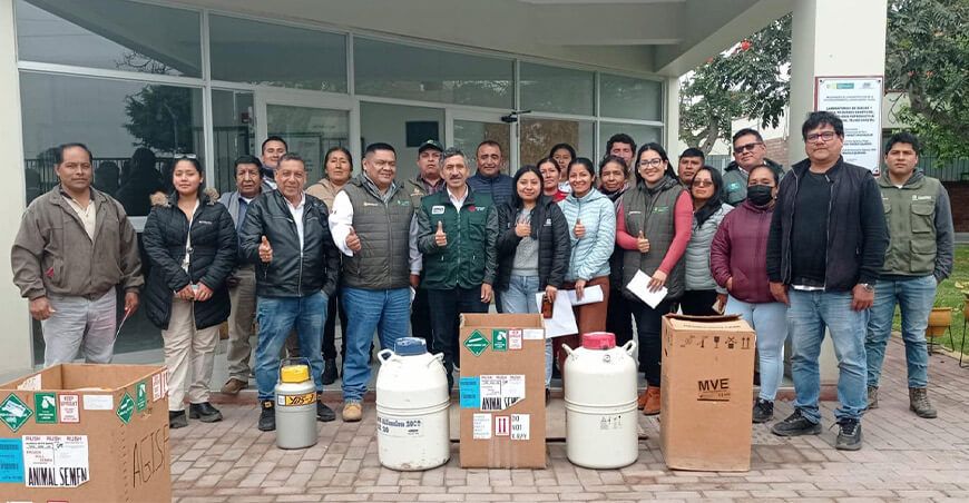 INIA transfiere 2500 pajillas de semen de vacuno de alta calidad a ganaderos de Lima