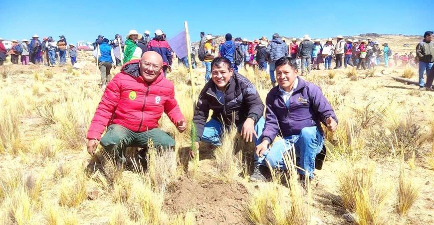 Se plantarán 1 400 000 pinos y especies nativas en seis distritos de Huancavelica