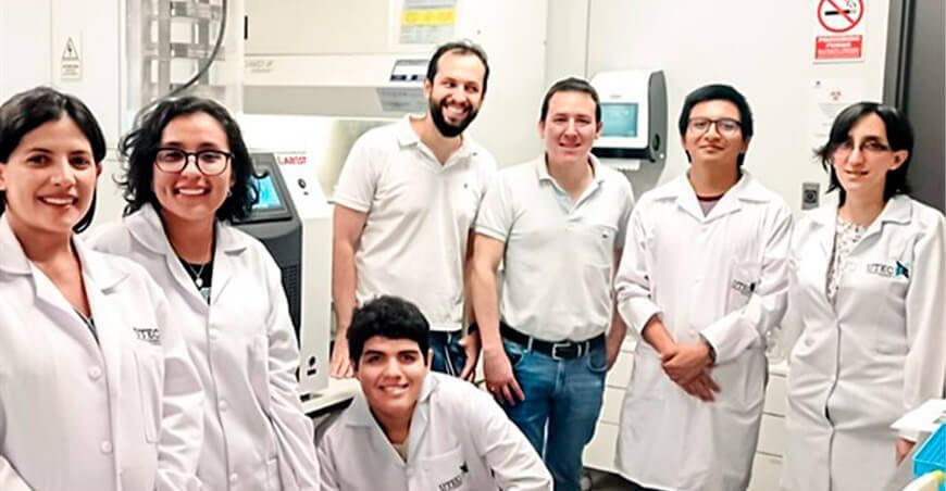 Investigadores peruanos desarrollan bioplástico a partir de papas nativas Kullin INIA Perú