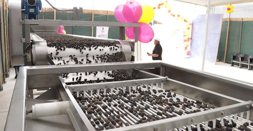 Entregaron máquina clasificadora de aceitunas a agricultores de La Yarada Los Palos Tacna Perú