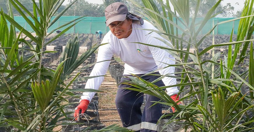 Midagri presentó el Proyecto Amaquella para revitalizar áreas degradadas en Ucayali