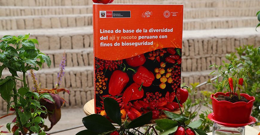 Minam Estudio Línea de base de la diversidad del ají y rocoto peruano con fines de bioseguridad 