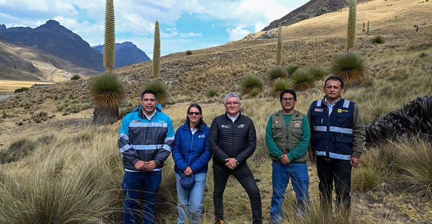 Minam invita a disfrutar el florecimiento de la puya Raimondi en el Parque Nacional Huascarán
