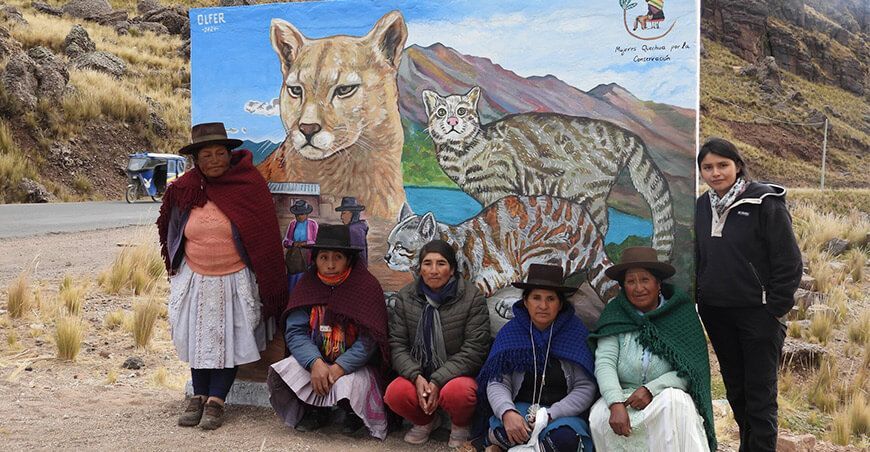Mujeres indígenas protegen felinos silvestres en los Andes centrales del Perú