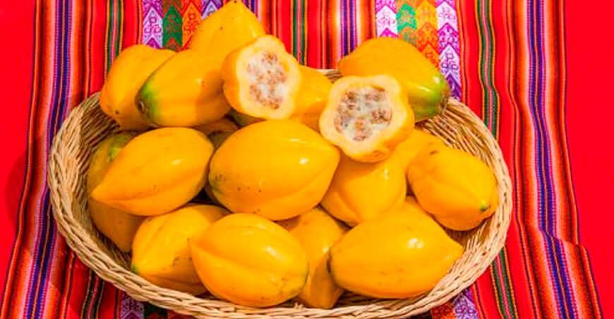 papayita andina Perú