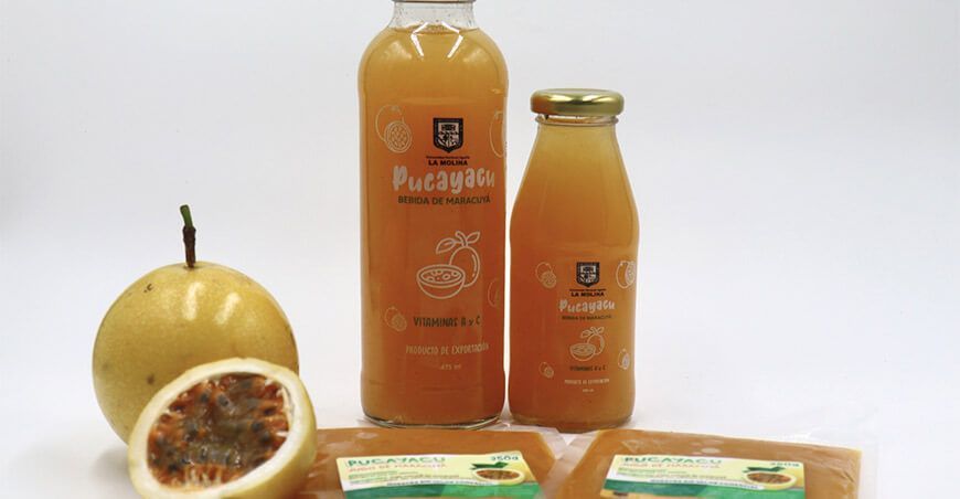 UNALM Perú Hub derivados industrialización maracuyá Pucayacu jugos