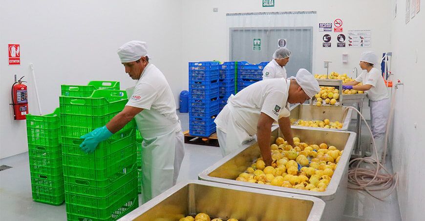 Perú Hub UNALM industrialización maracuyá Perú