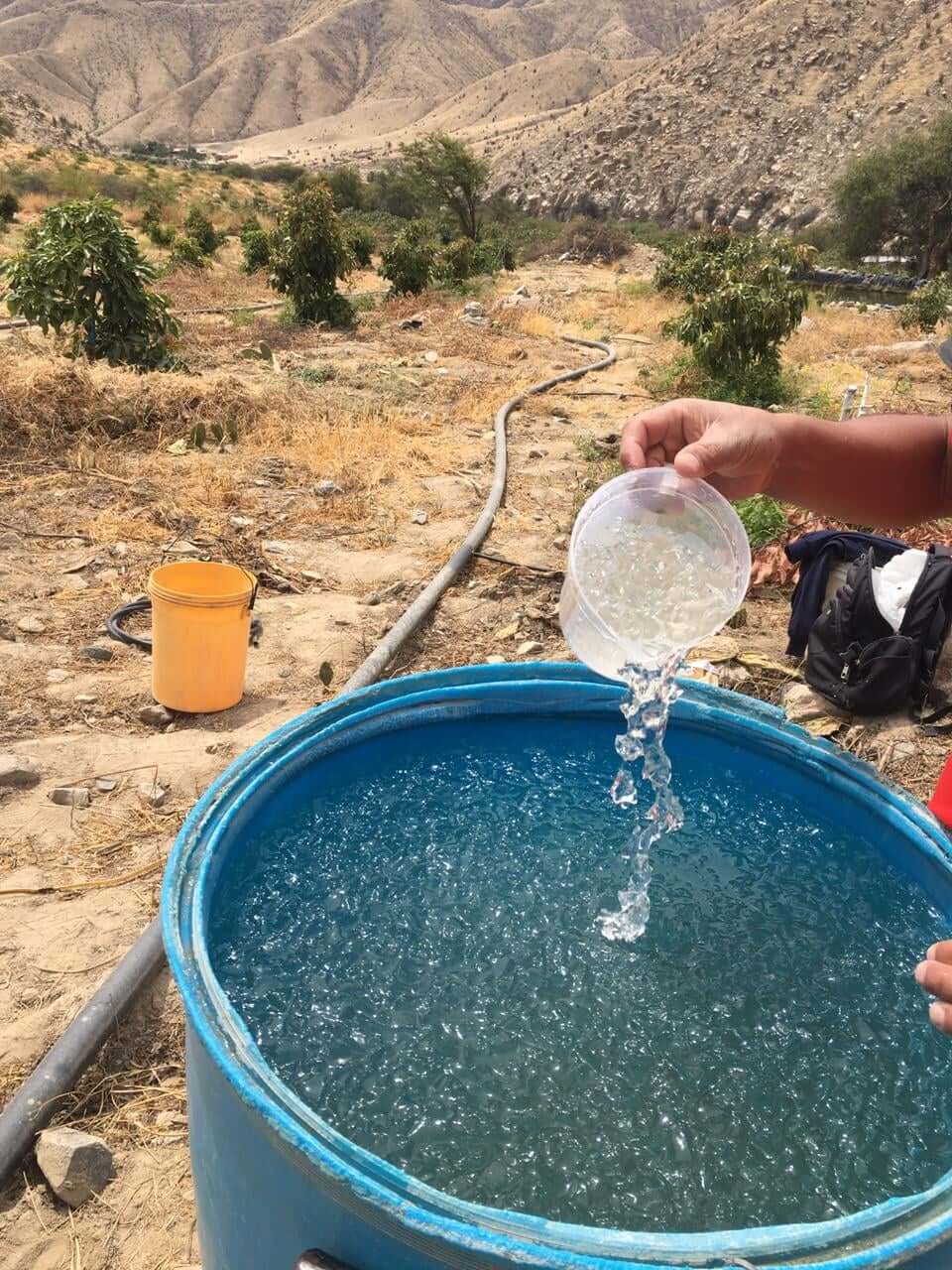 Plantagel: Hidrogel agrícola que combate la sequía y optimiza el uso del agua en cultivos