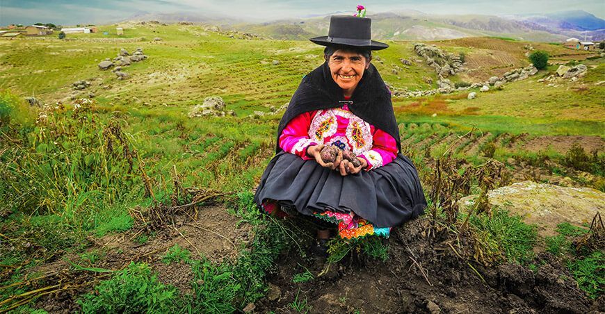 productora de papas nativas Andes Perú