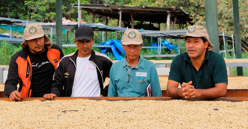 Caficultores de Cusco realizaron pasantía para potenciar sus conocimientos y técnicas Devida Perú