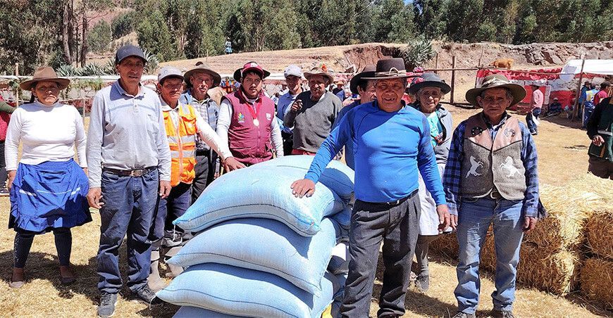 Entregan avena y semillas a ganaderos de comunidades en el distrito de Colcha Cusco Perú