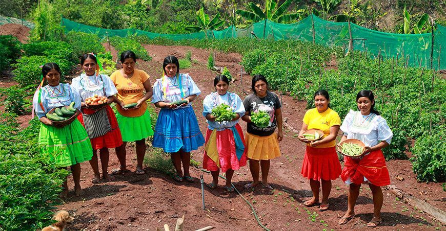 Más de 3600 familias quechua-lamistas reciben capacitación y capital semilla en San Martin Perú