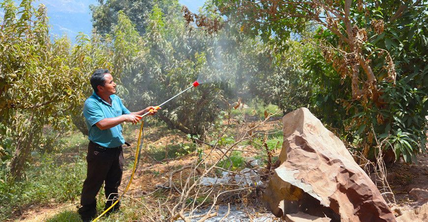 Procompite Ancash entregó motofumigadores para mejorar la producción de melocotón en Ranrahirca
