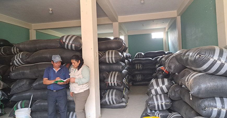 Asociación de Productores y Agropecuarios de Café de Altura Patahuasi concretó la venta de café pergamino Ayacucho Devida Perú