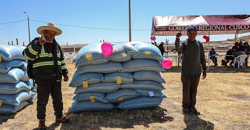 Productores de Espinar reciben 42 toneladas de semillas de avena forrajera Cusco Perú