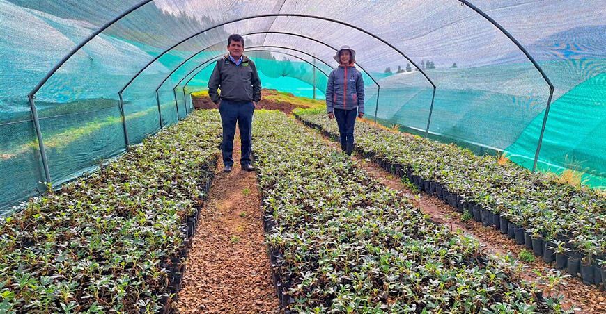 proyecto Agrosilvopastoril producción de plantones especies nativas Apurímac Perú
