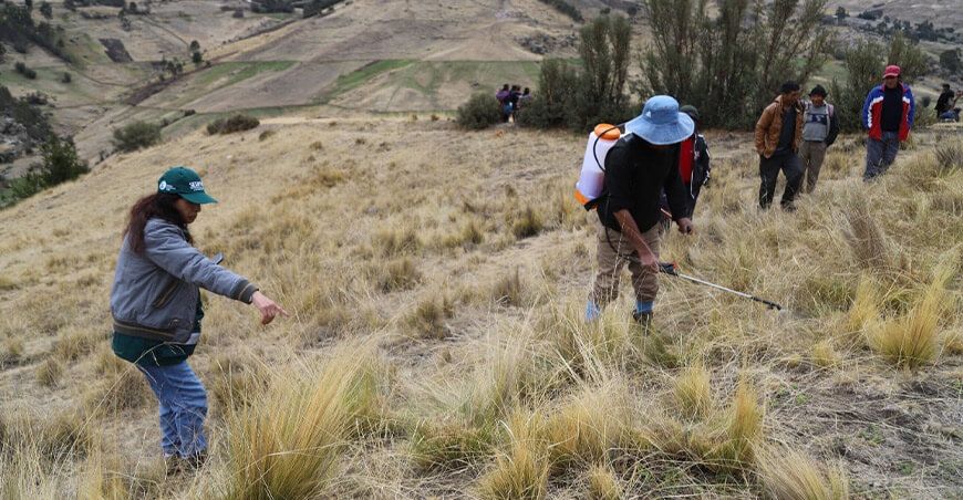 Serfor capacitó a comunidades campesinas y nativas para responder de forma oportuna ante incendios forestales