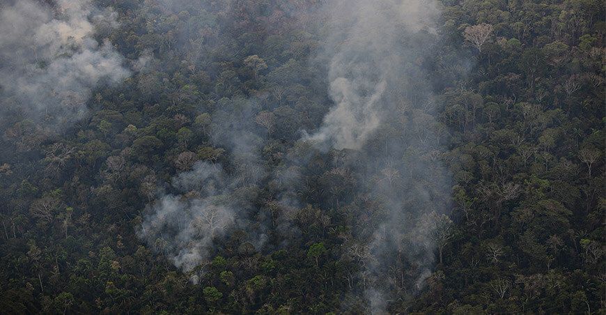 Incendios forestales arrasan bosques Ucayali Perú