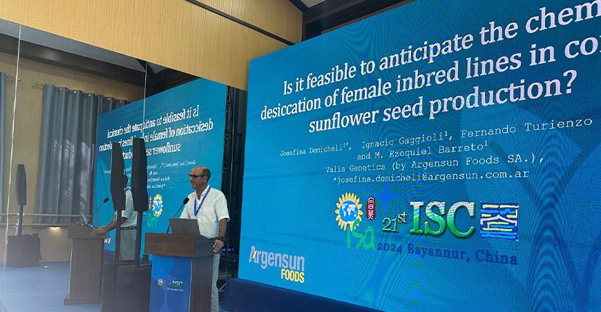 Conferencia Internacional de Girasol