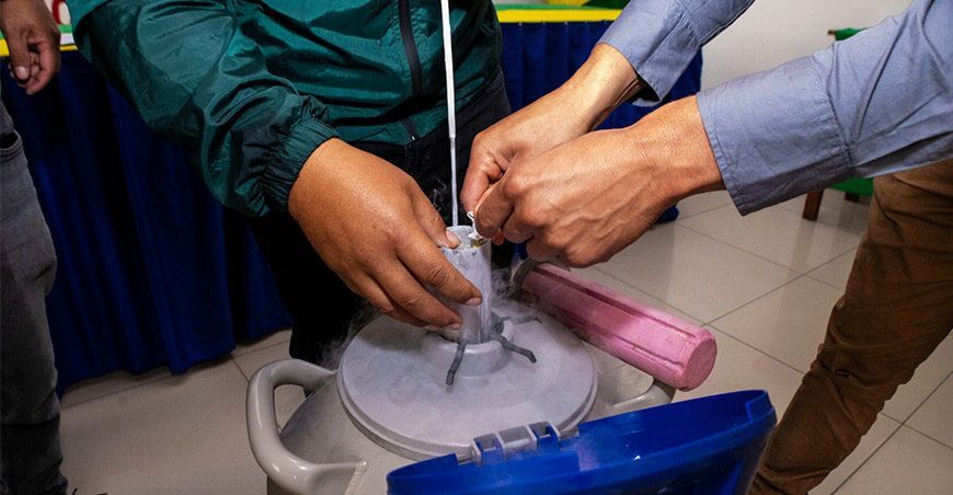 
INIA transfiere pajillas de semen bovino para elevar competitividad ganadera en Rodríguez de Mendoza Amazonas Perú
