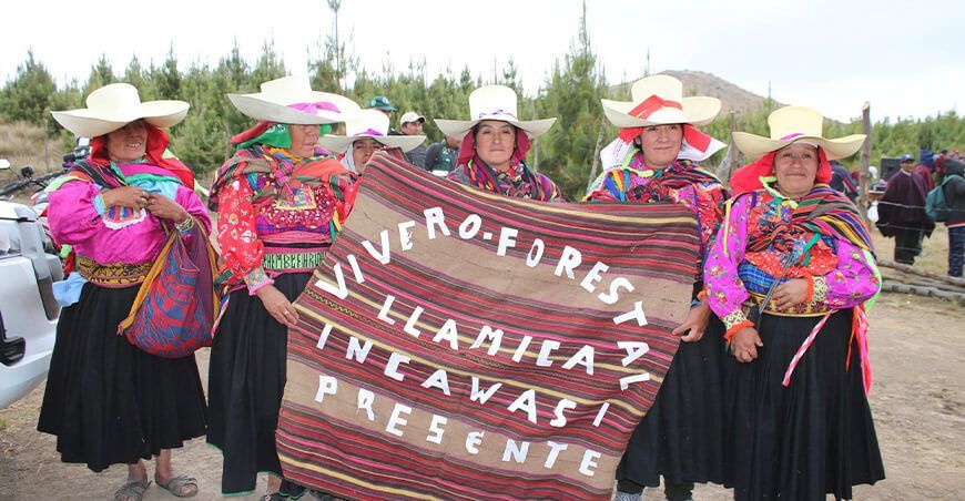 productoras vivero forestal Incahuasi Lambayeque Perú