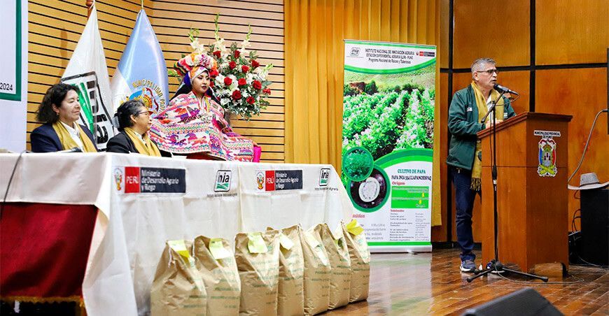 Productores de Puno tienen a su disposición las nuevas variedades de quinua INIA 446
Atipaq y papa INIA 334 Llapanchispaq