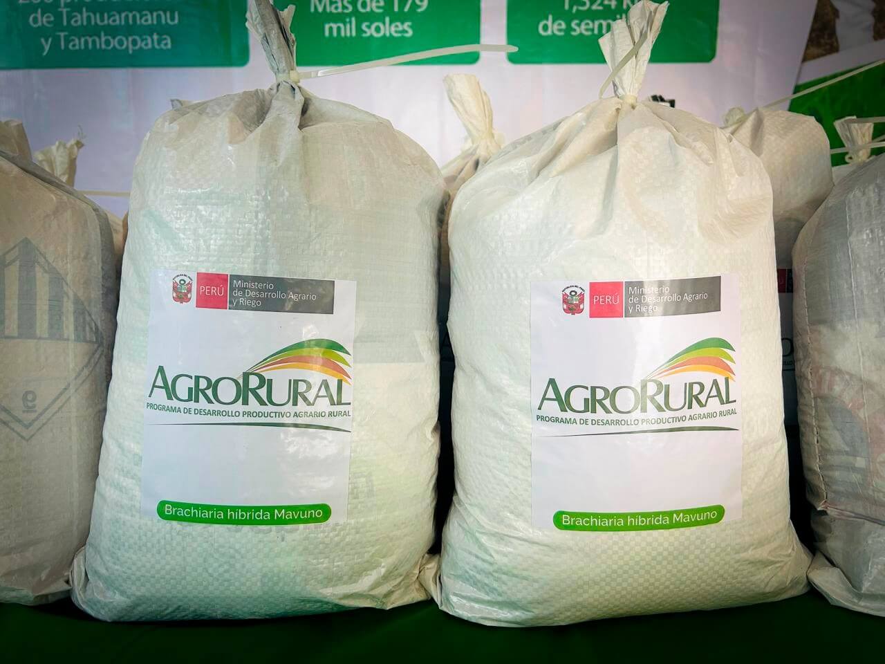 Agro Rural entrega 1324 kg de semillas de pastos a familias en Tahuamanu y Tambopata Madre de Dios Perú 