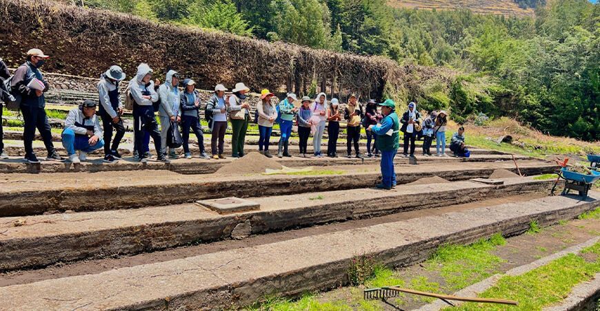 programa Agro Rural instalará  plantones forestales en nueve regiones Perú 