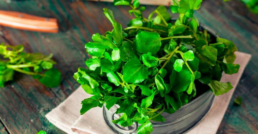 berros hortaliza nutritiva