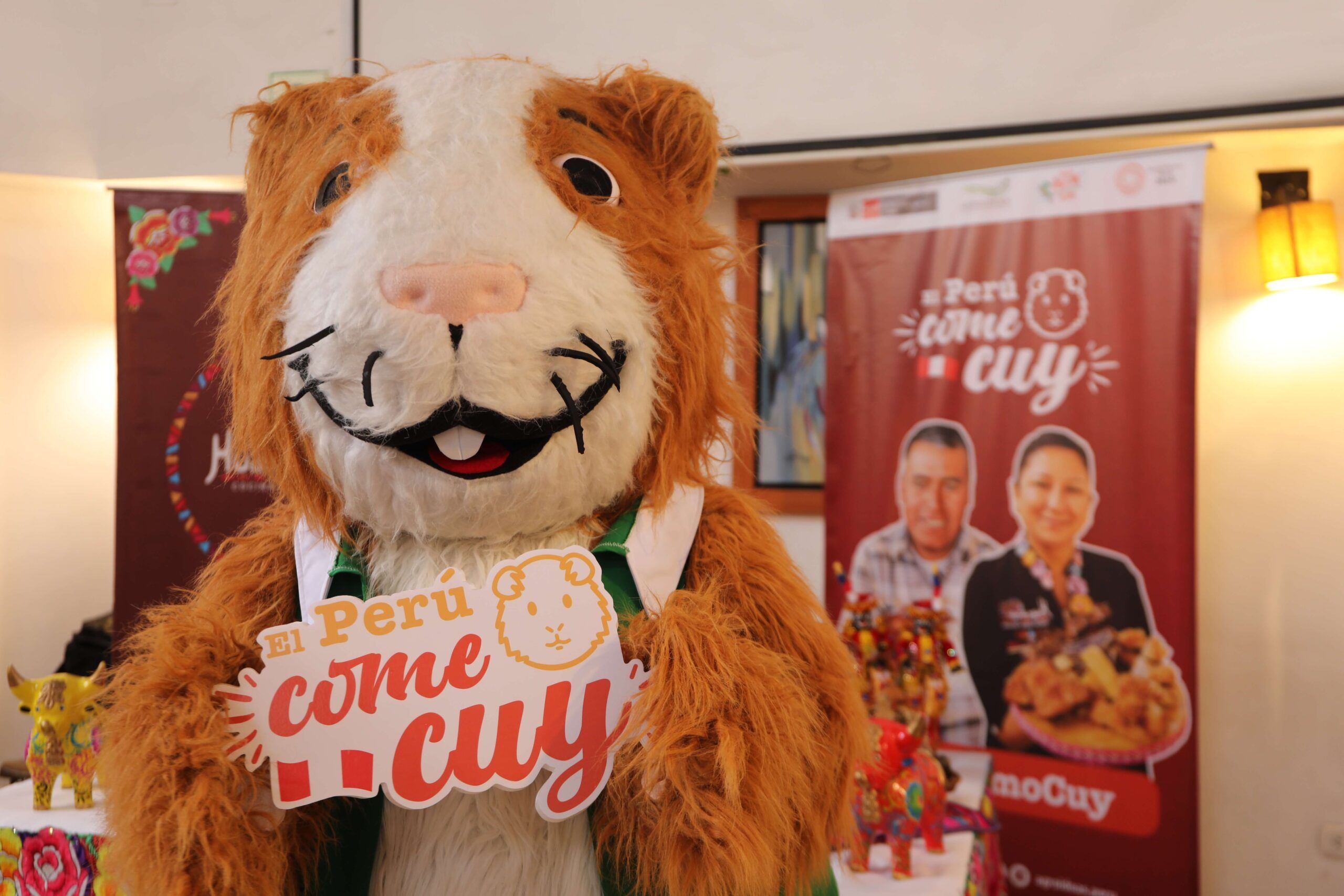 Midagri lanza la campaña “El Perú come cuy” para potenciar la cadena productiva